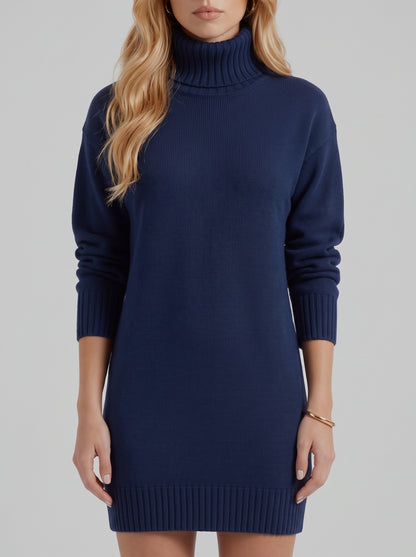 Knit Long Sleeve Turtleneck Sweater Dress