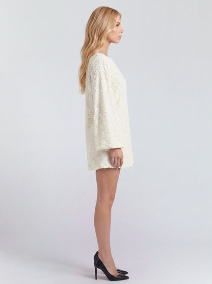Sequin Long Sleeve Mini Dress