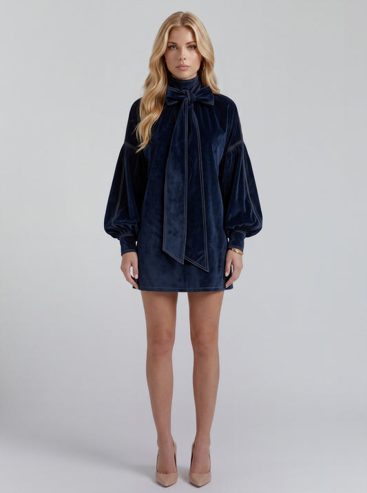 Velvet Long Balloon Sleeve Mini Dress