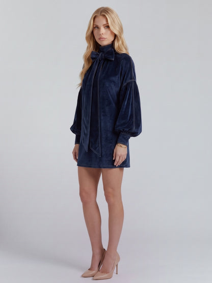 Velvet Long Balloon Sleeve Mini Dress