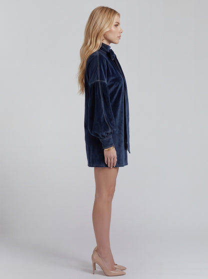 Velvet Long Balloon Sleeve Mini Dress