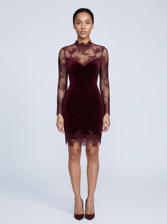 Velvet Lace Long Sleeve Mini Dress